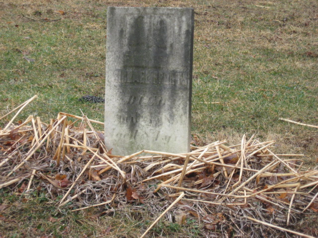 Pfouts Michael Conotton winter view wide